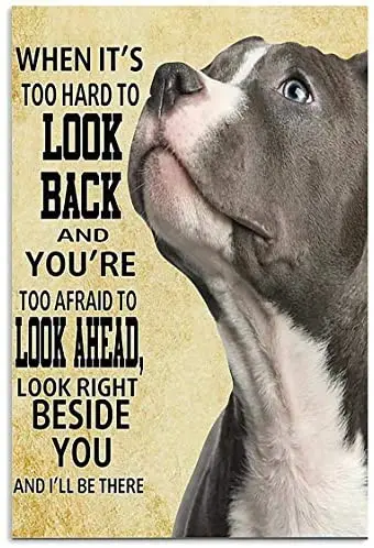 

Pitbull выглядит прямо рядом с вами, и я буду там плакат, Художественная печать для любителей собак, металлический знак, алкогольные домашние вывески, 12x16 дюймов