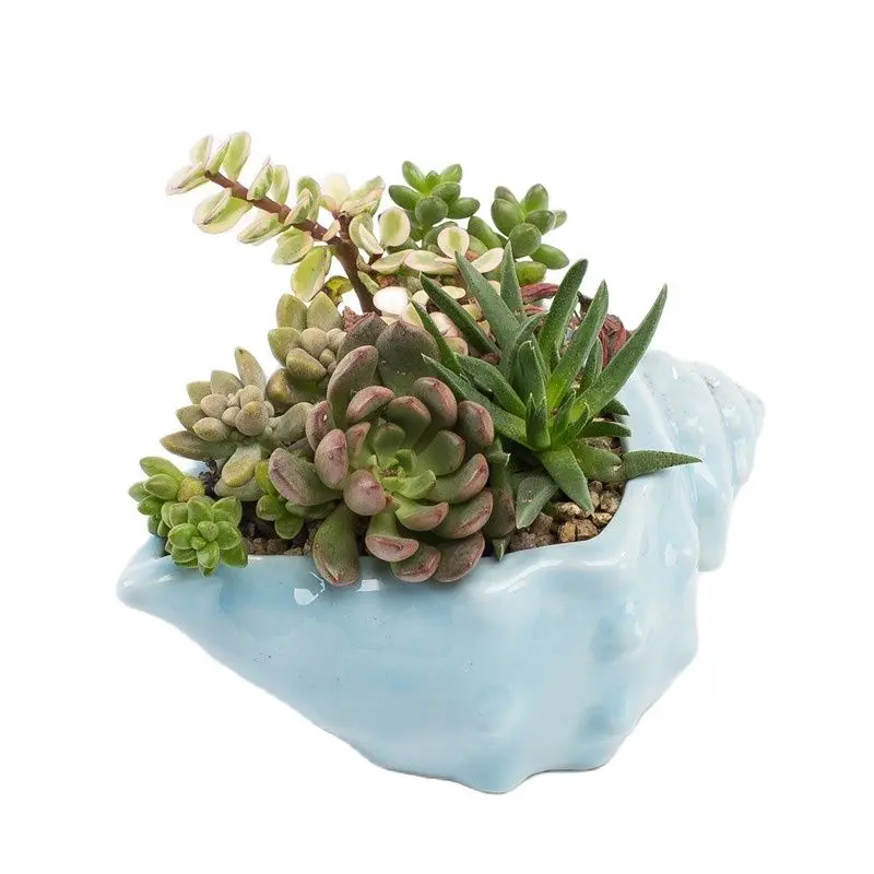 

Милые керамические садовые горшки для суккулентов, керамический цветочный горшок, поднос для растений с кактусами, идеальная Настольная Фо...