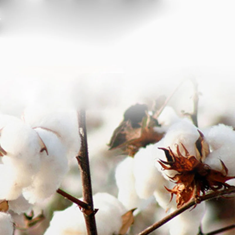 Постельное белье с мультяшным принтом 100% дюймов |