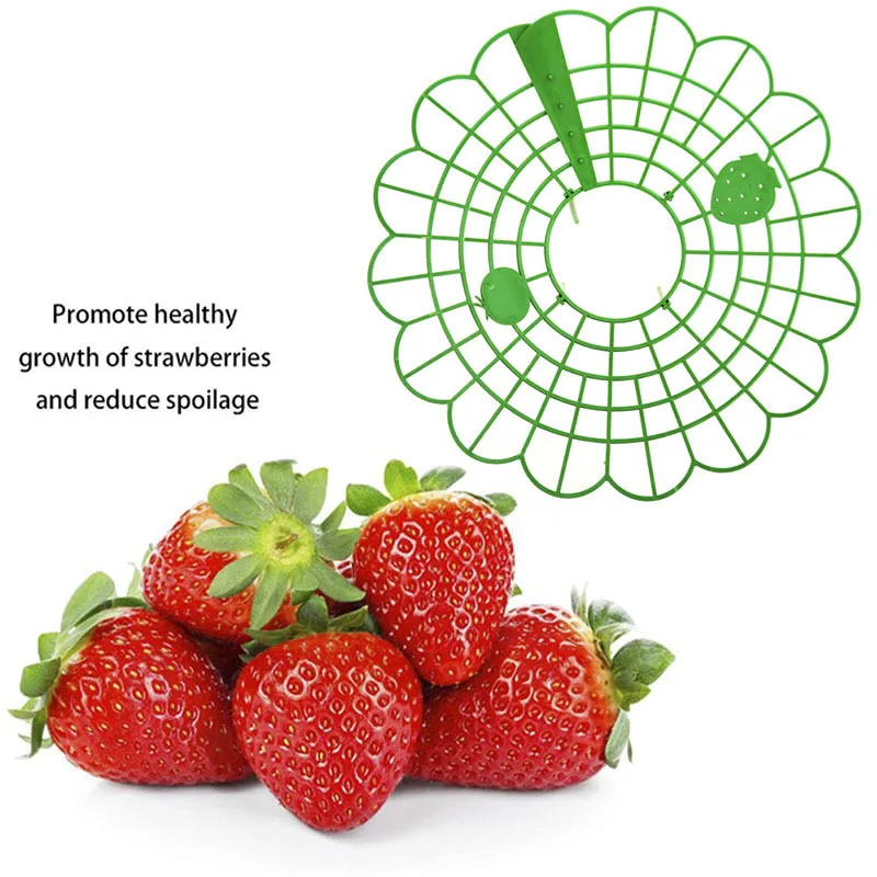 5101520pcs strawberry stand frame holder green climbing trellis home garden vine pillar lightweight plant fruit support free global shipping