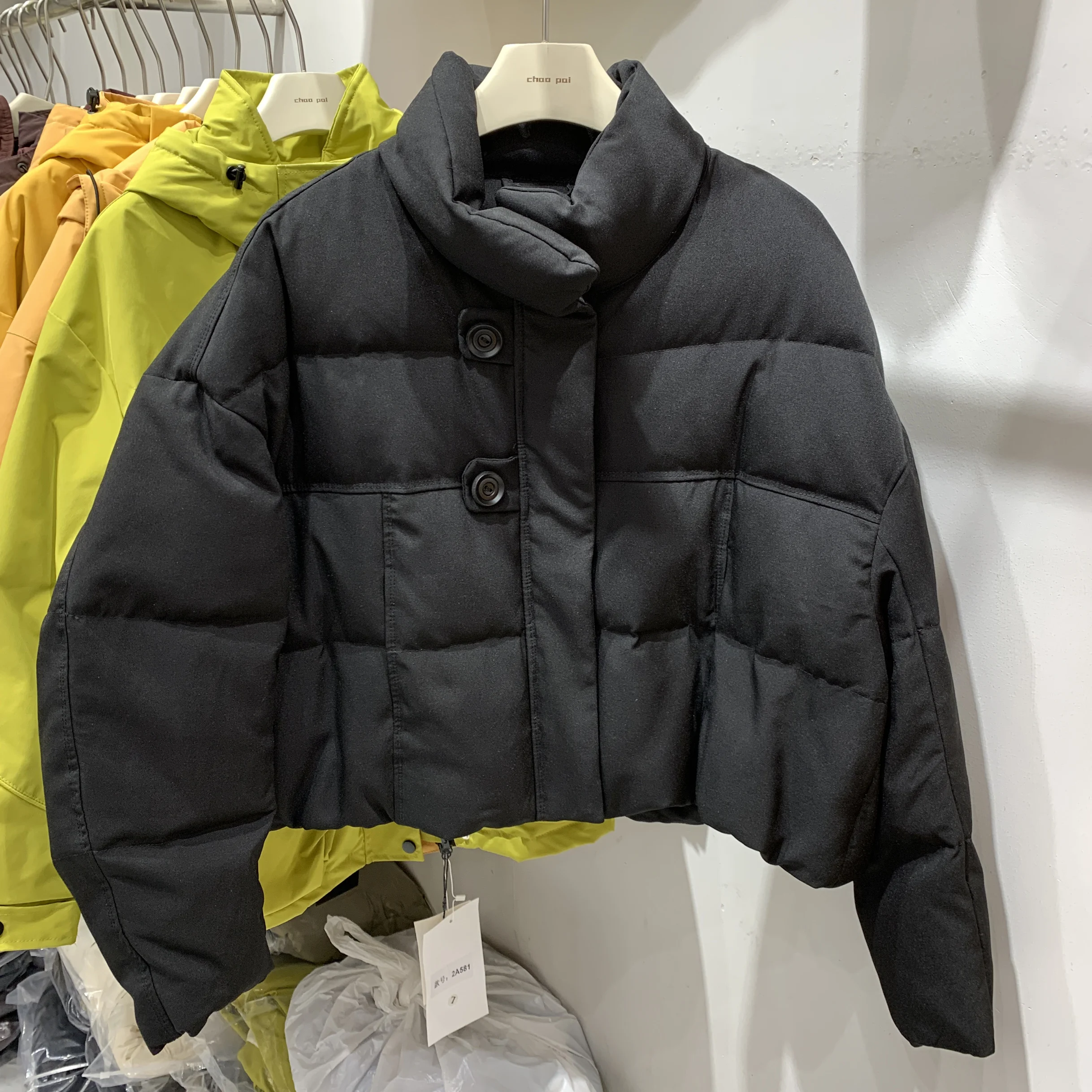 Короткий пуховик с воротником-стойкой женский зимний 2024 новое универсальное