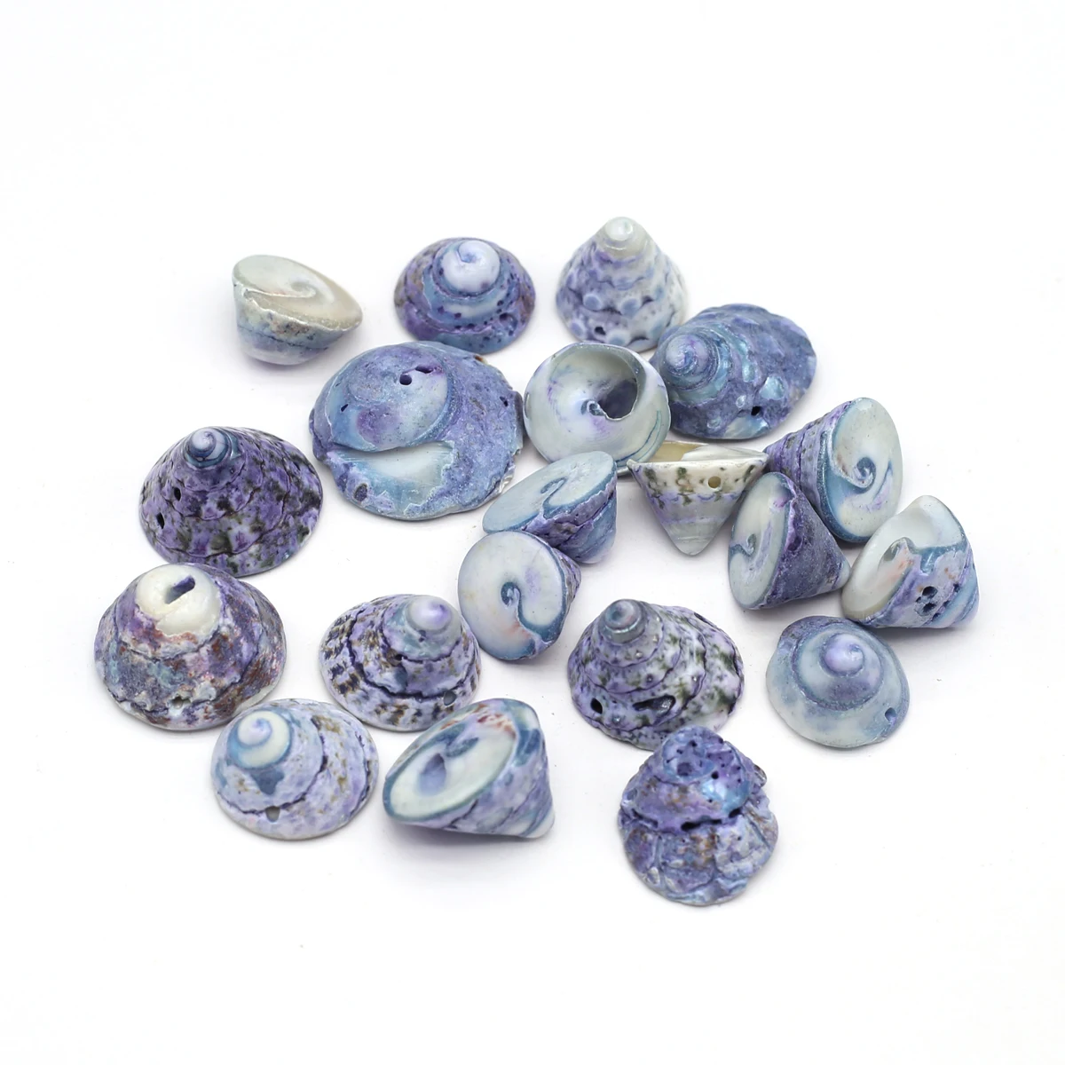 

100 г натуральные синие белые ракушки, ракушки, ракушки для аквариума, аквариума, Ландшафтные украшения, ювелирные изделия 10-15 мм