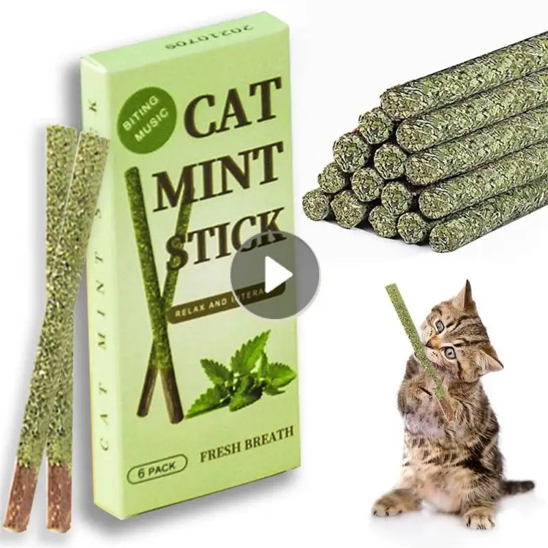 

6 палочек/коробка, 100% натуральная кошачья мята