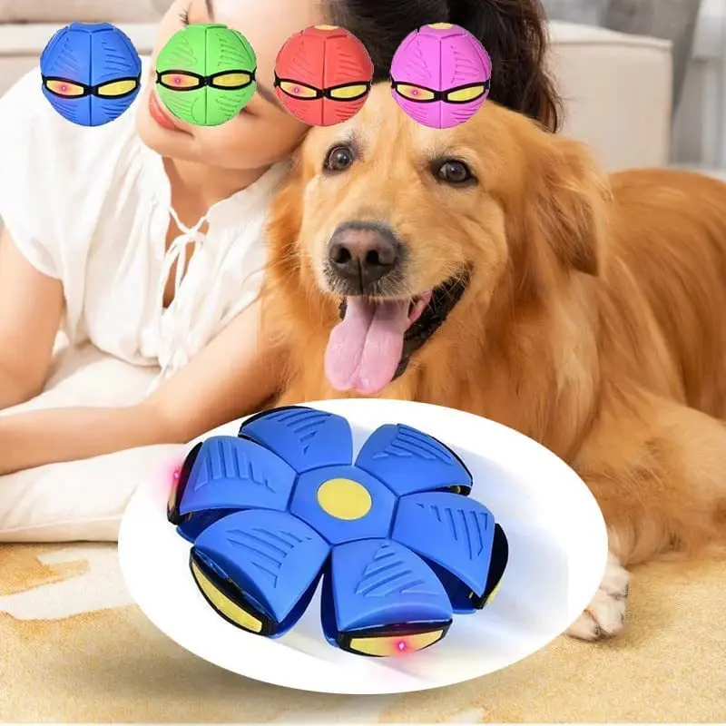 

2023 Best Selling Products Dogs Indestructible Dog Toy Interactive Dog Toy Help for Ｔraining Ａnd Ｂehavior Ｐets Ｐroducts Ｆor Ｄog