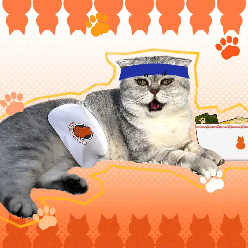 Аниме красная кошка рамен аканко бунзо домашняя Собака Кошка костюм для косплея