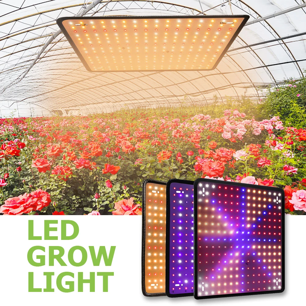 

LED Grow Light Full Spectrum Lamp Grow Plant Growth Hydroponic Light Bulb Indoor Phyto Lamp Grow Flower Seeds Tent Phytolamp