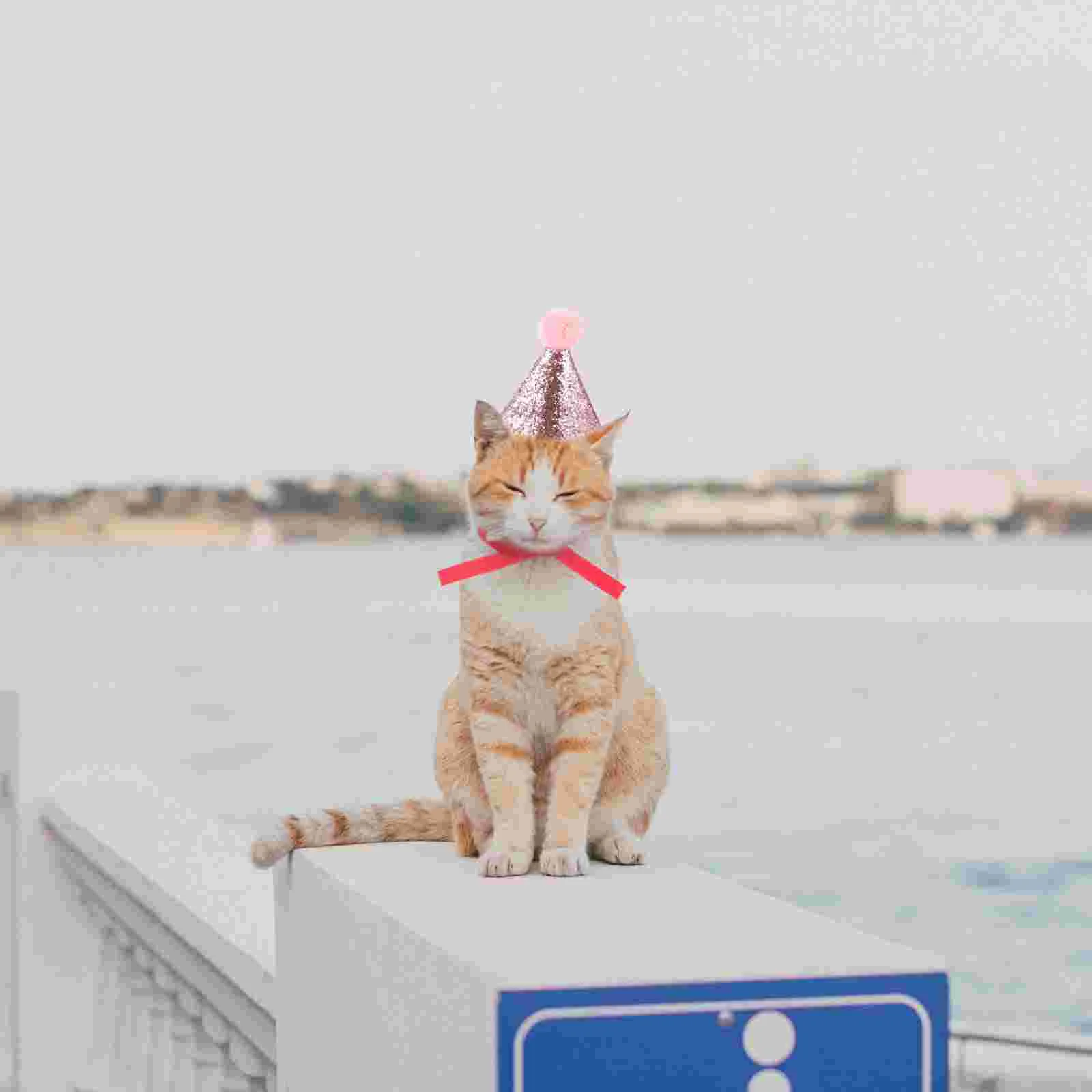 

8Pcs Birthday Party Hat Cat Birthday Hat Cat Birthday Cat Hat Hats For Cats Birthday Hat For Dogs for Dog Cat