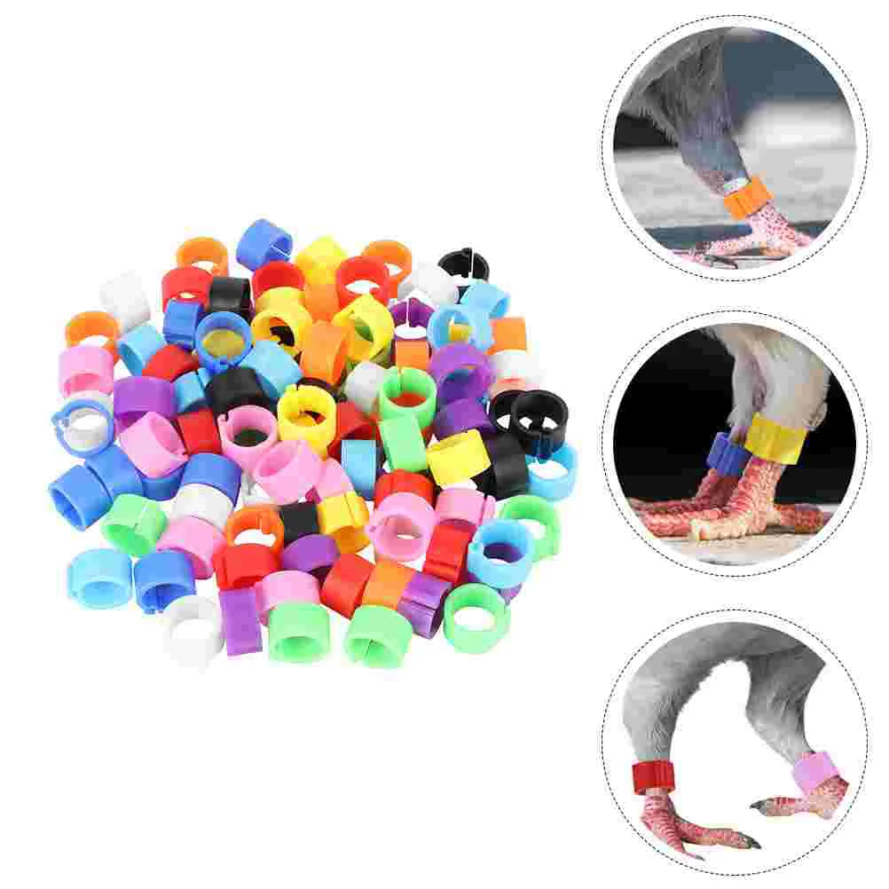 

150 Pcs Chicken Drumsticks Chicken Leg Band Tag Cockatiel Bird Foot Rings Clip Rings Parrot Leg Band Hen Homing Pigeon Anklet