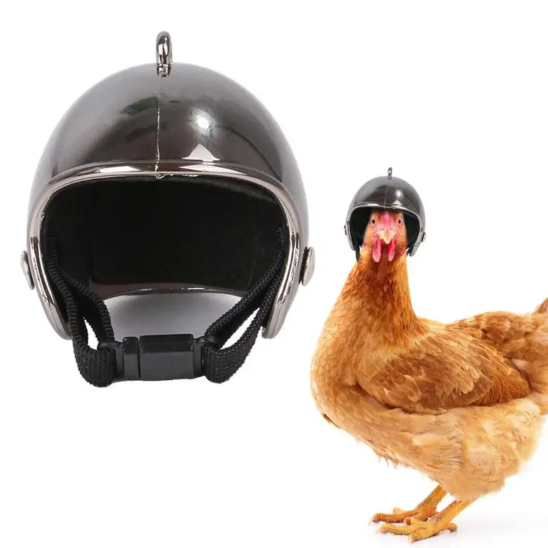 

Pet Funny Protective Chicken Helmet Small Pet Hard Hat Bird Hat Headgear Pet Chicken Helmet Protect The Chicken's Head Helmet