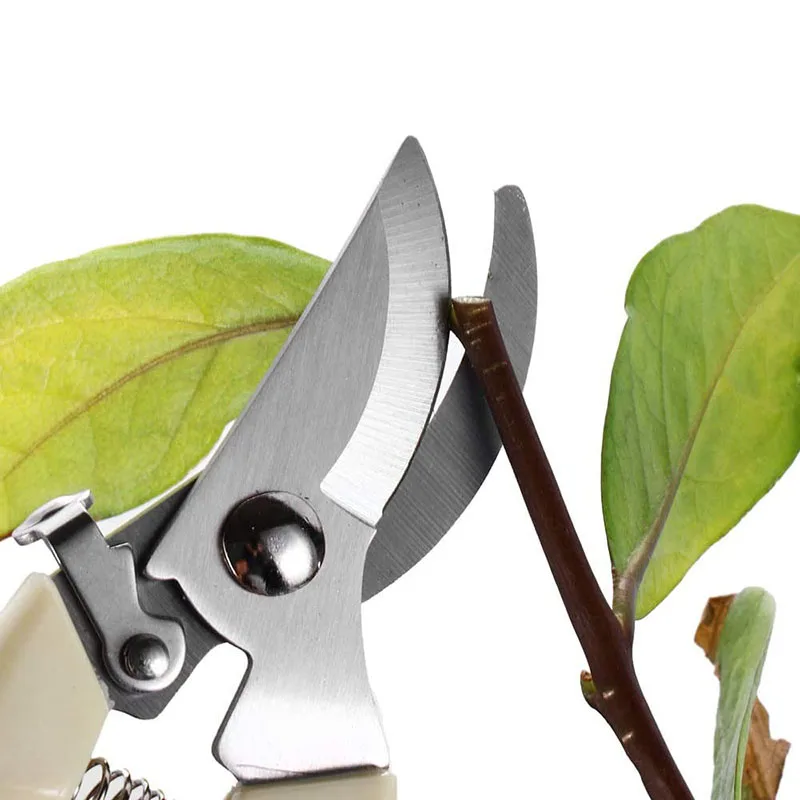 

17cm/19cm Pruner Tree Cutter Gardening Pruning Shear Scissor Stainless Steel Cutting Tools Set Home Tools Anti-slip