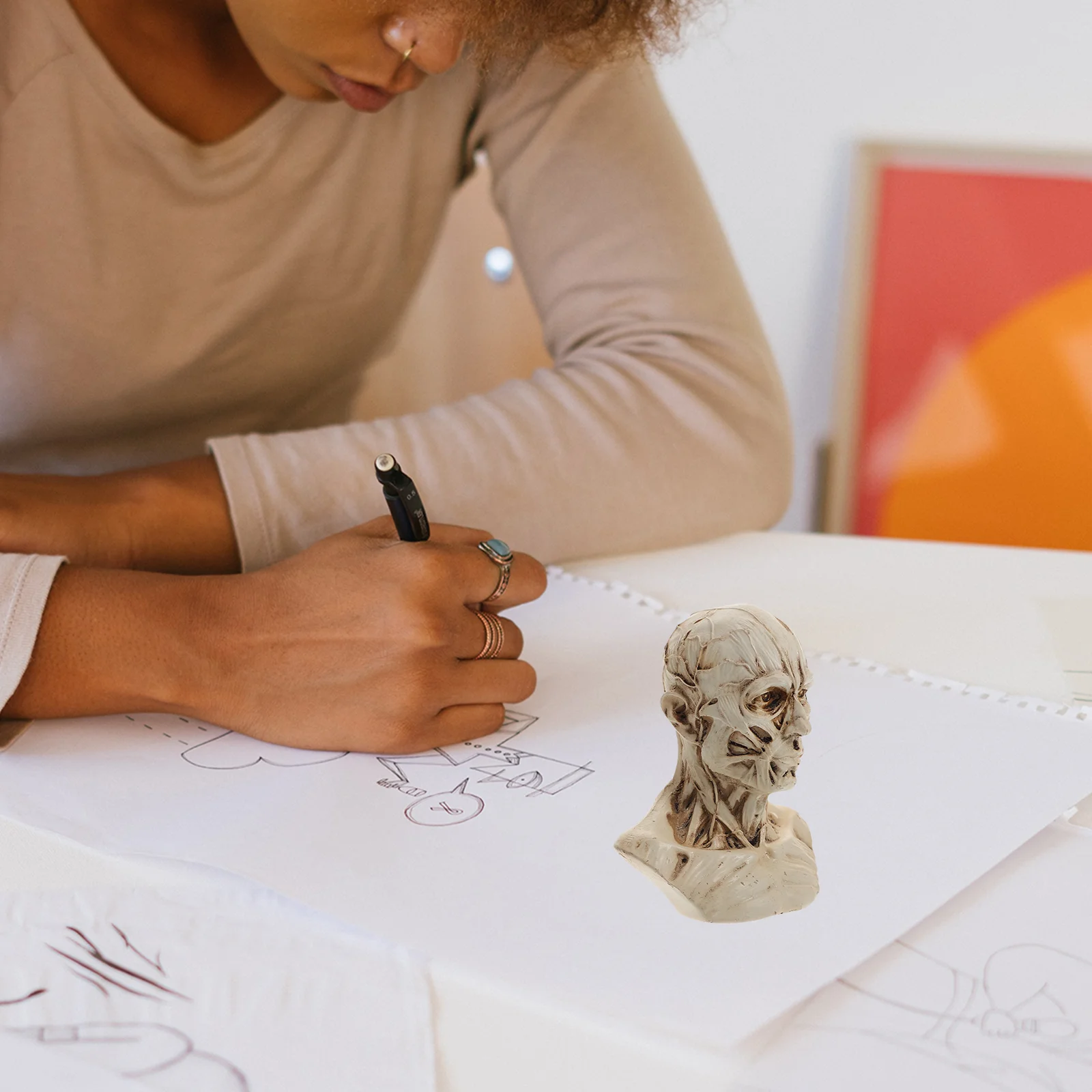 Эскиз Статуя Манекен Модель Смола Анатомия Череп Голова Декор Художник Рисунок