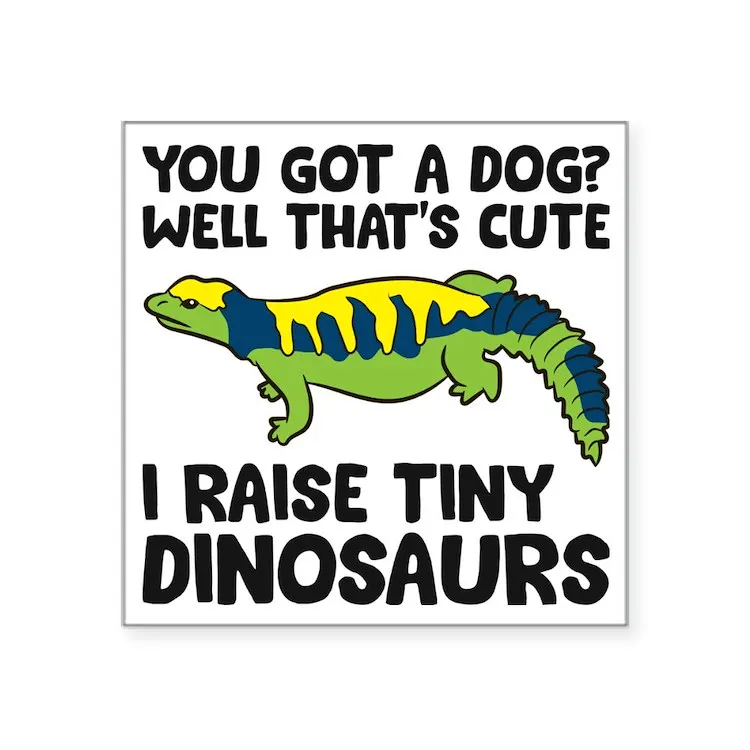 

Uromastyx владелец Uromastyx Pet Uromastyx наклейка квадратная наклейка для ноутбука автомобиля милое мультяшное искусство модный общественный чемодан