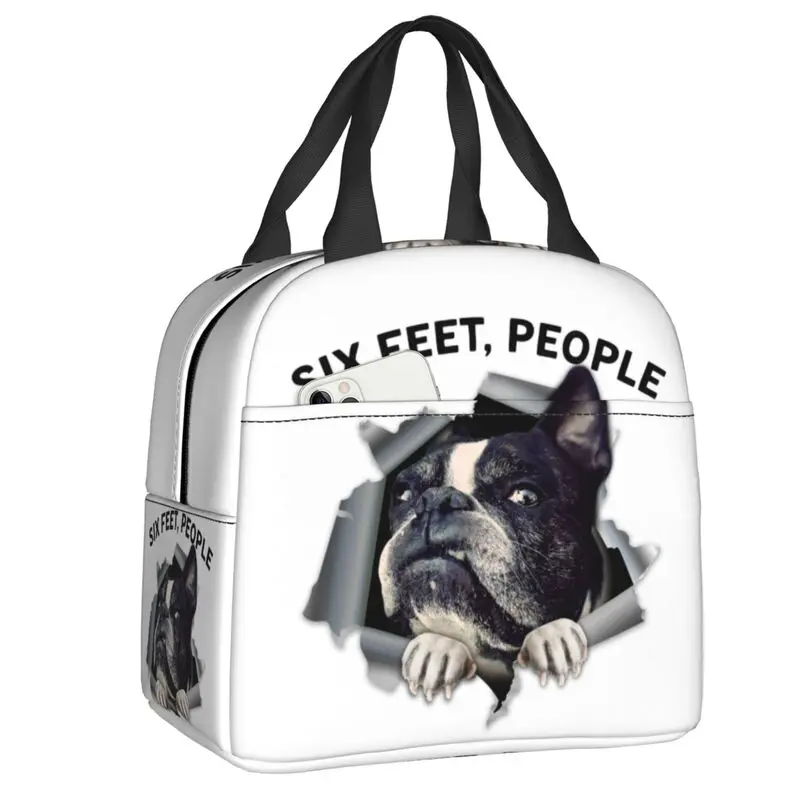 

Индивидуальная сумка для обеда Boston Terrier на 6 футов, мужская и женская сумка для обеда, теплые изолированные коробки для обеда для детей, школь...
