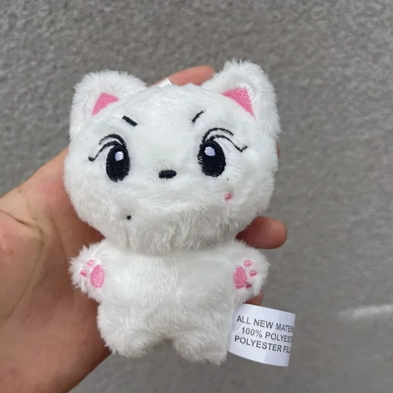 10 см ENHYNegs плюшевые Simmunge JAY JUNGWON HEESEUNG мягкие игрушки брелок Kawaii мультфильм Джейк