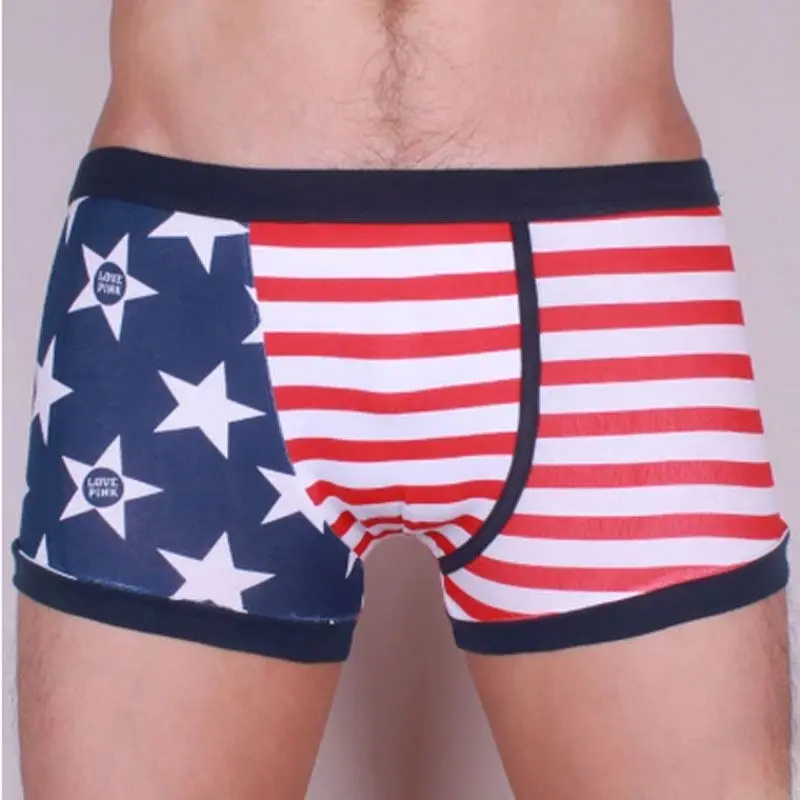 

Men`s Underwear Underpants Briefs Breathable Slim Cotton Fit Soft Flag Blend