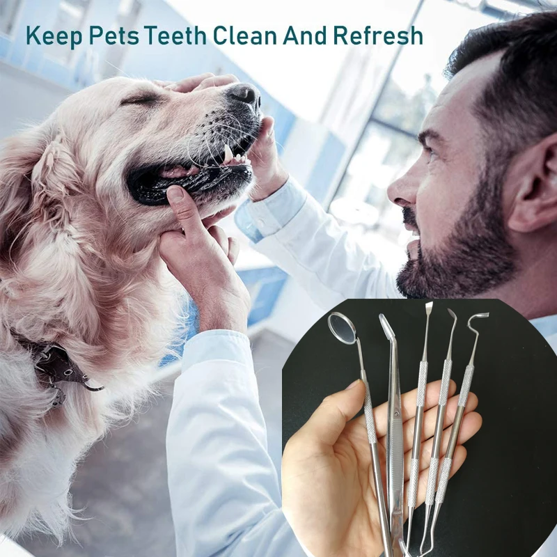 Набор для ухода за зубами инструменты чистки зубов двусторонний зонд/серп/мотика