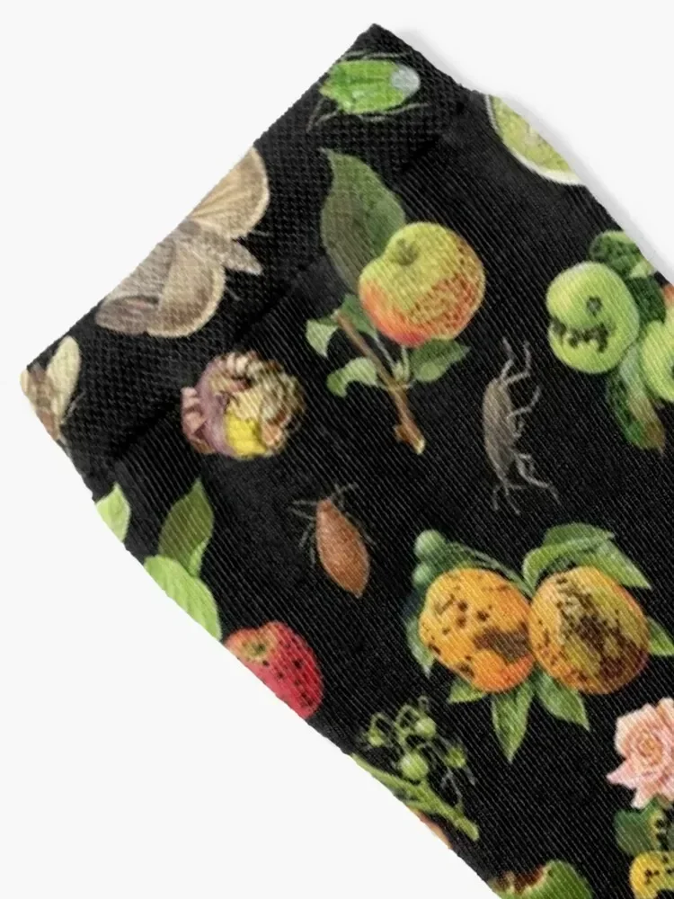 Носки от насекомых и болезней растений Маргарет Старшего Эмиля Zeck (ЧЕРНЫЕ)