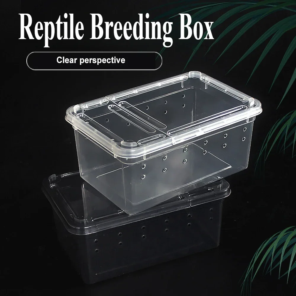 Прозрачная пластиковая коробка для кормления рептилий клетка среды обитания