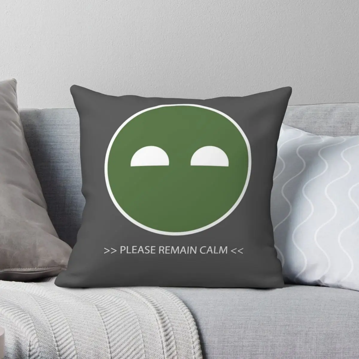 

Please Remain Calm Square Pillowcase Polyester Linen Velvet Creative Zip Decorative Throw Pillow Case Room Cushion Case