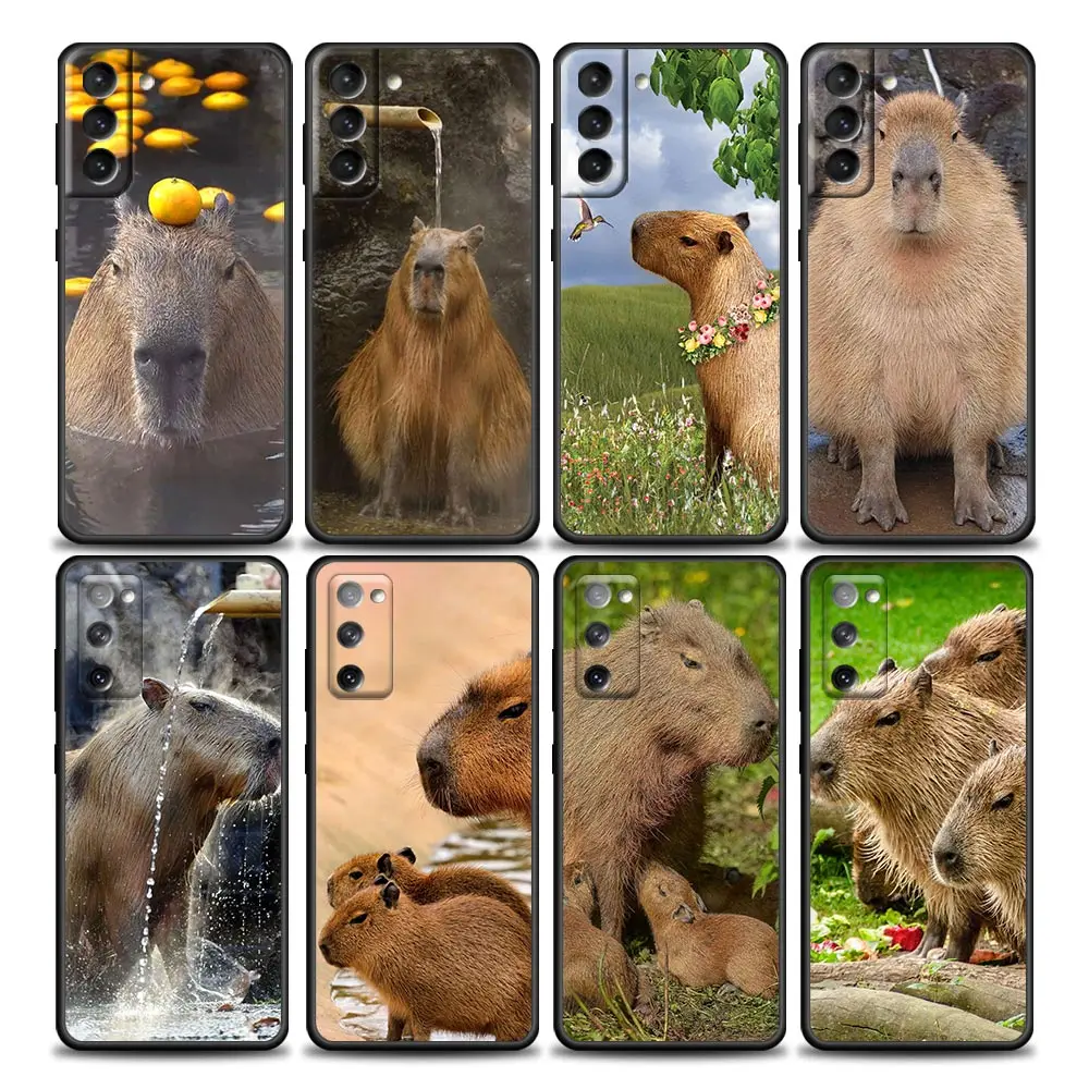 

Funny Capybara Animal Case Cover For Samsung Galaxy S21 S22 S20 S 22 Ultra FE Plus S7 S8 S9 S10 Plus Soft Silicone Cases Fundas