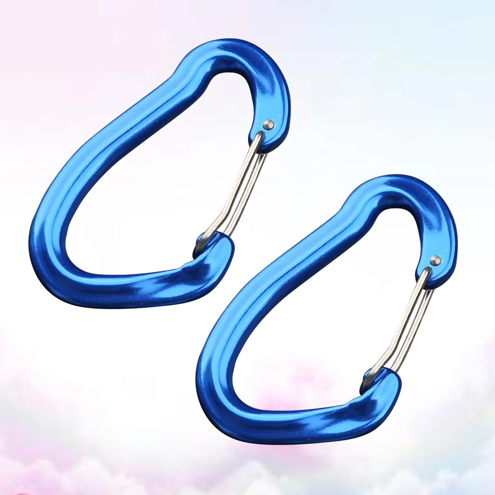 

2 Pcs Carabiner Clip Sturdy Prime Climbing Carabiner Hammock Carabiner for Camping