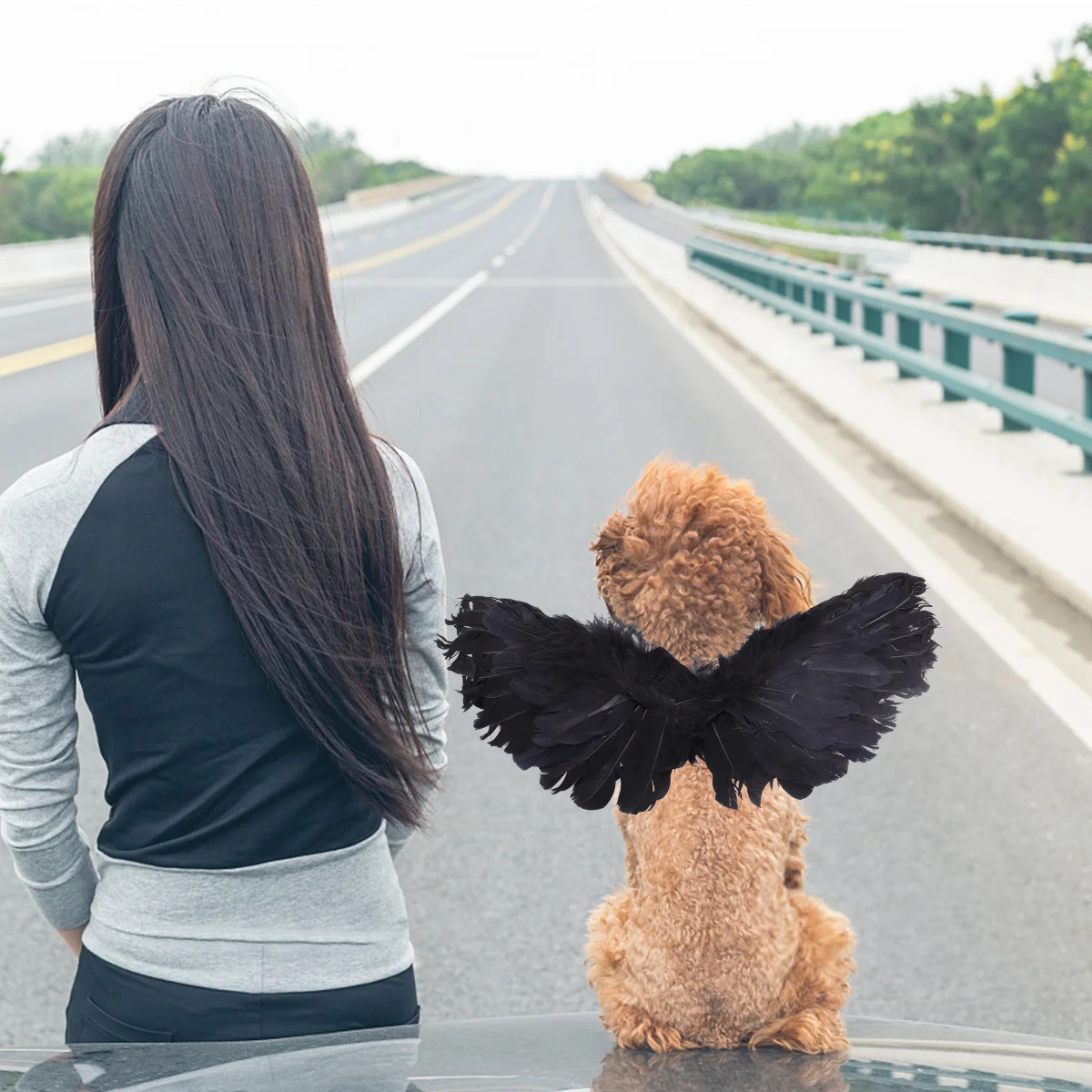 

1pc Costume Accessory Small Costumes Costumes for Dogs Large Costume Costume