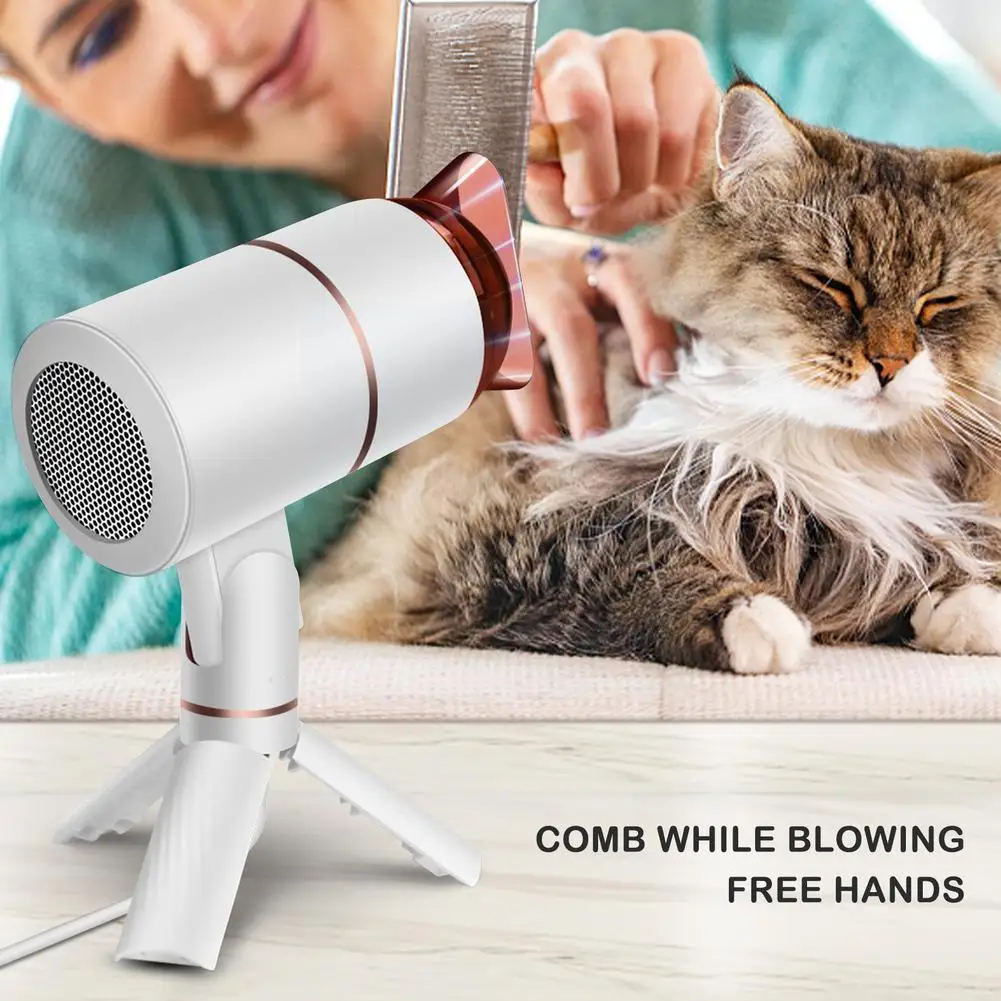 

1000w Professional Powerful Hair Dryer Fast Heating Air Ionic Air Nozzel Collecting Hot Adjustment Dryer Cold Blow And With T6f5