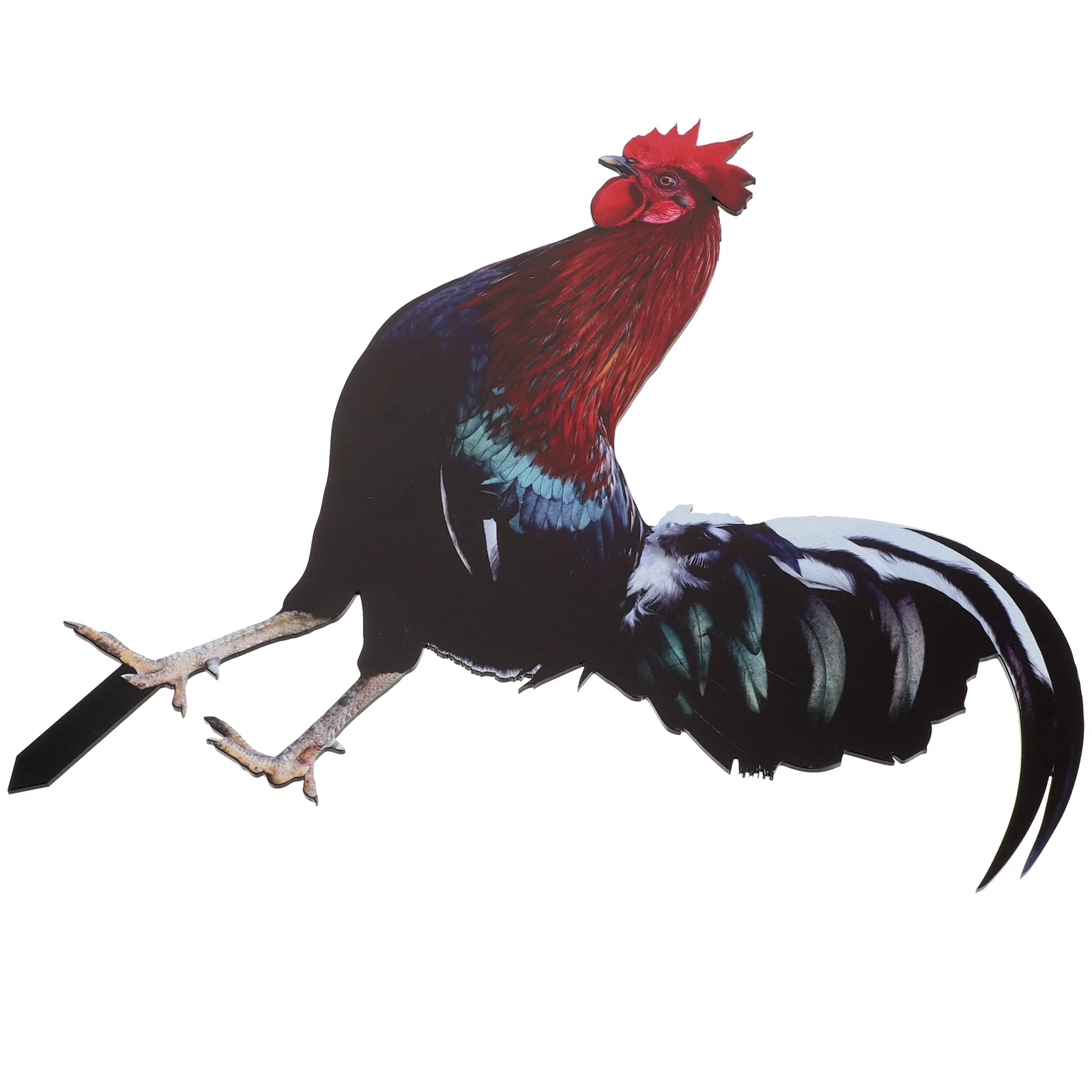 

Pheasant Garden Decoration Outdoor Decor Yard Rooster Ornaments Decorate Chicken Stake Acrylic Yard Sign Garden Rooster Insert
