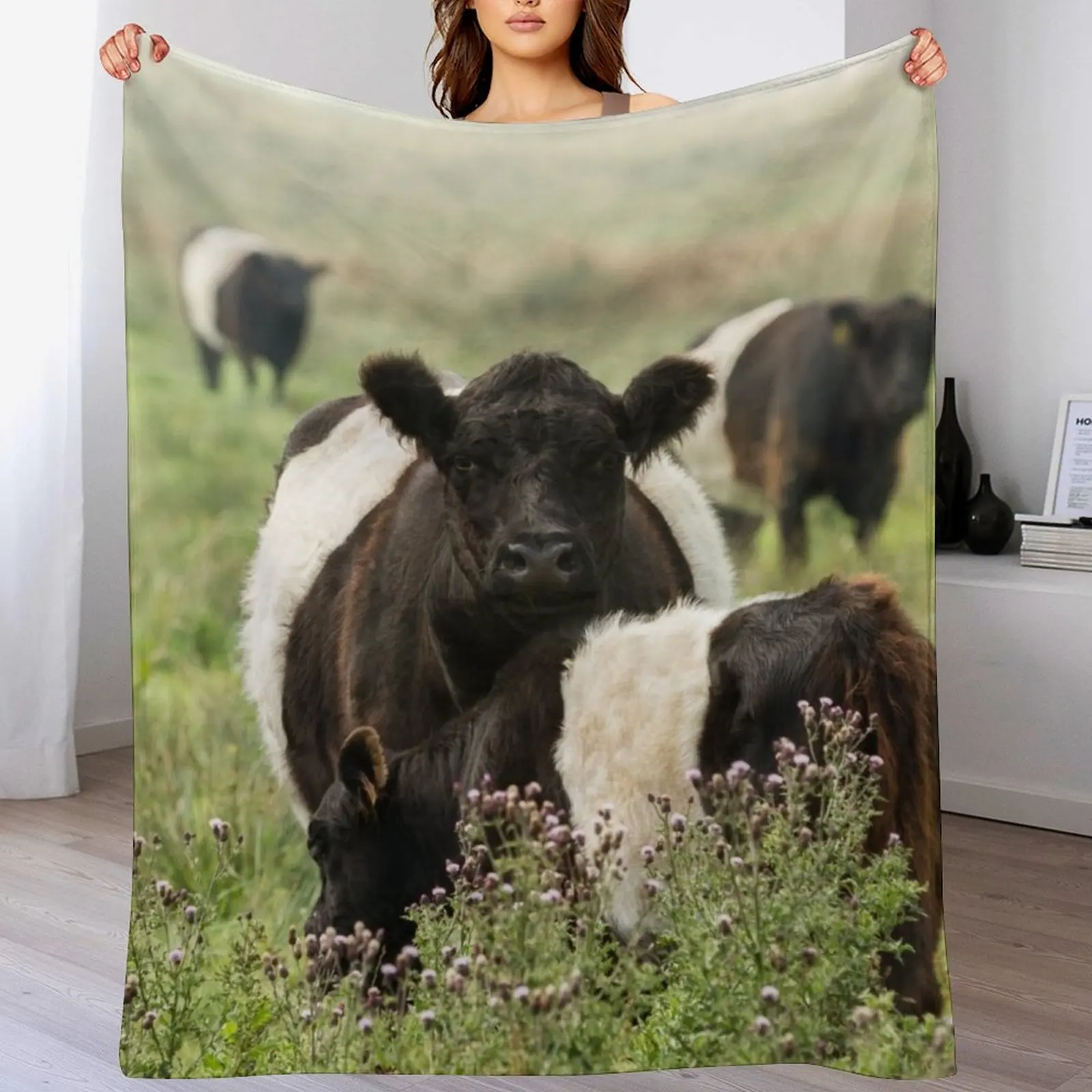 Одеяло с поясом Galloway Cows рождественские украшения модные одеяла для диванов