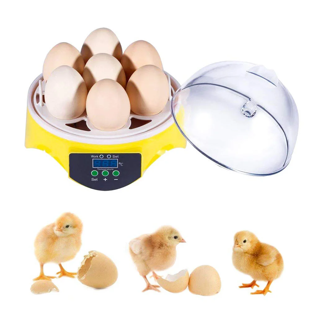 

Incubator Egg Eggs Automatic Hatching Mini Hatcher Chicken Turning Control Temperature Hatchery Quail Birds Turkey Clear Brooder