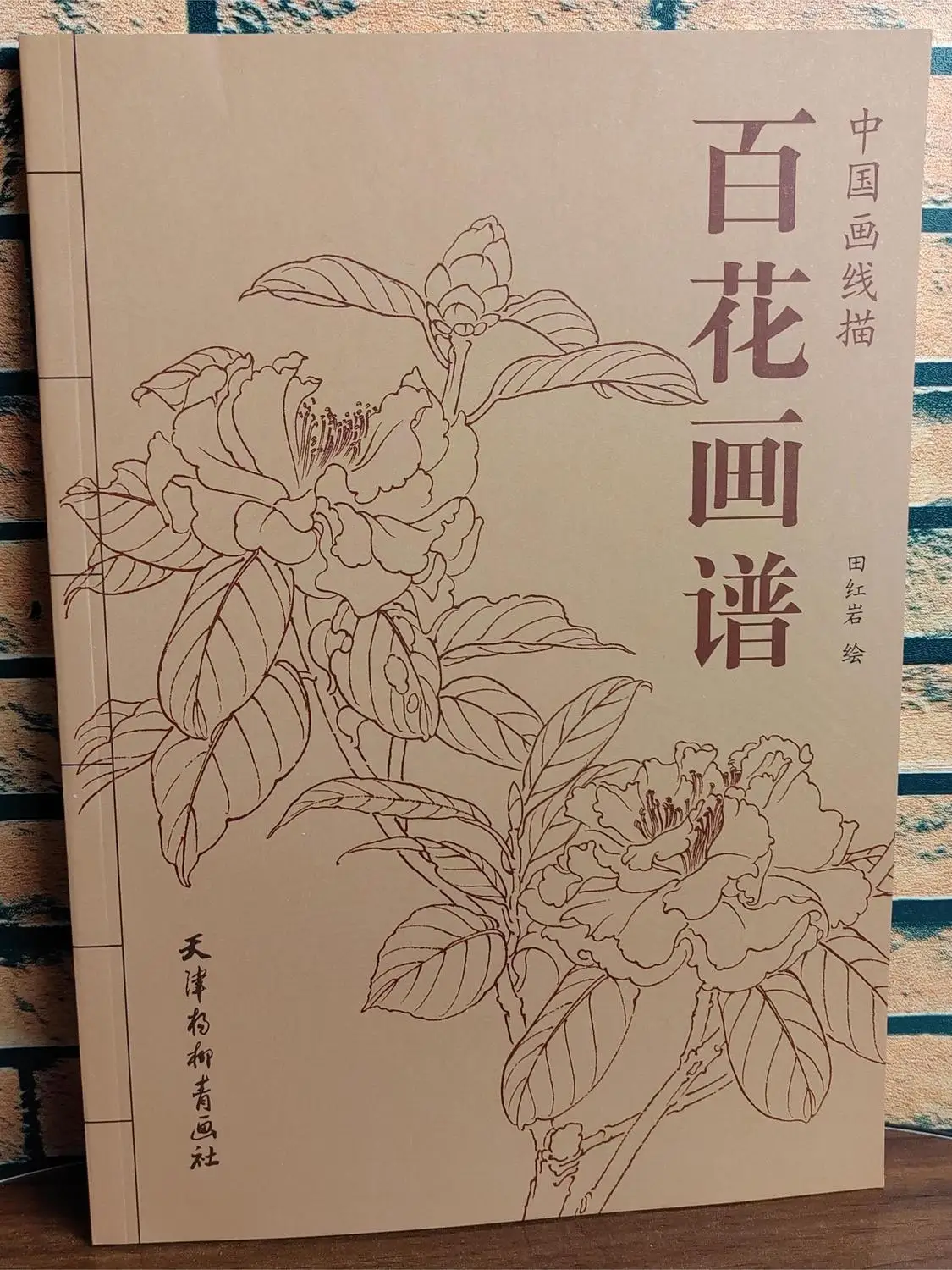 

Chinese Painting Hundred Flowers Line Drawing Collection 94Pages Art Book Adult Coloring Book Relaxation and Anti-Stress Book