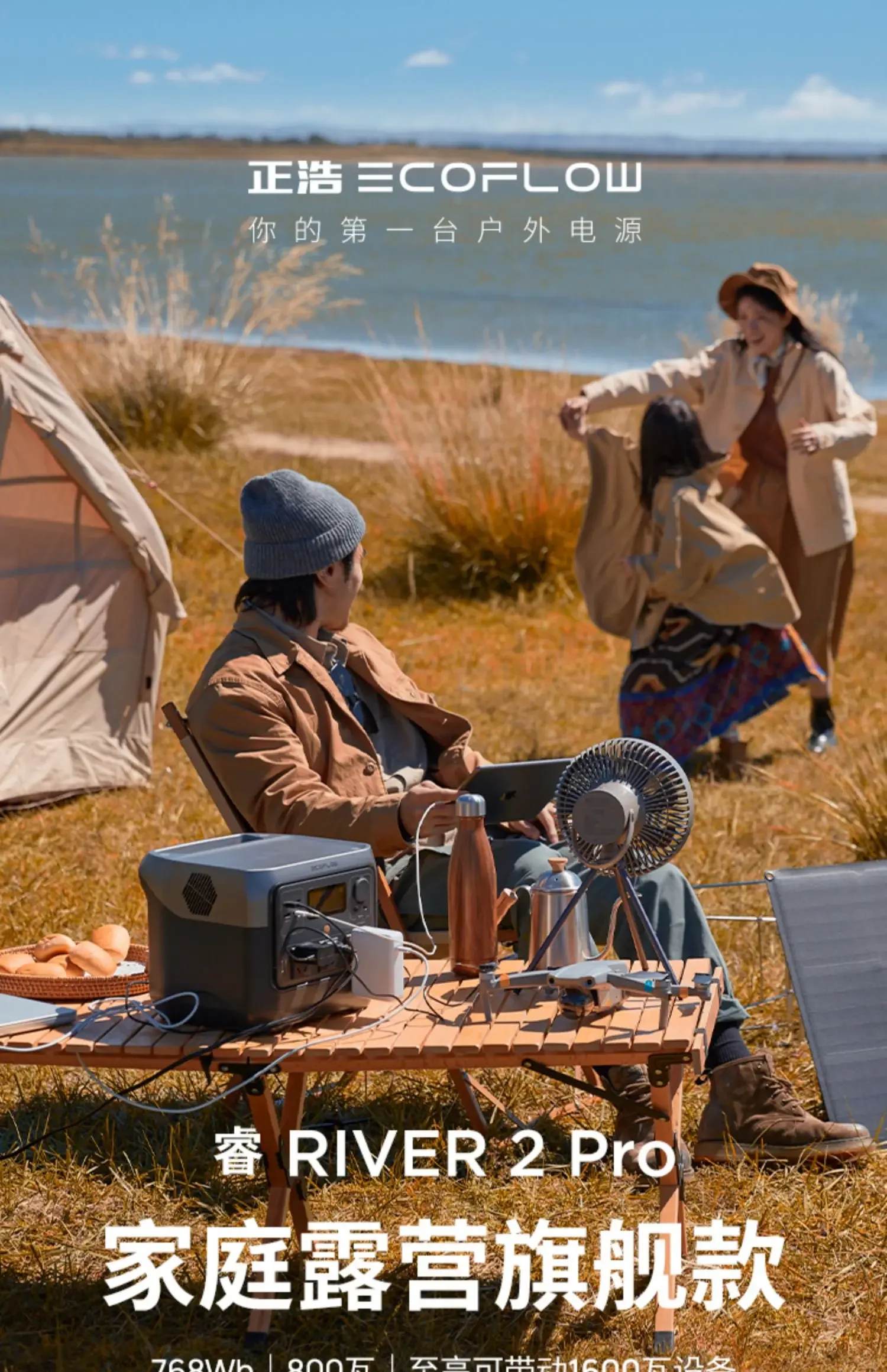 Портативная электростанция ECO Flow RIVER 2 Pro мощность 720 Втч несколько устройств