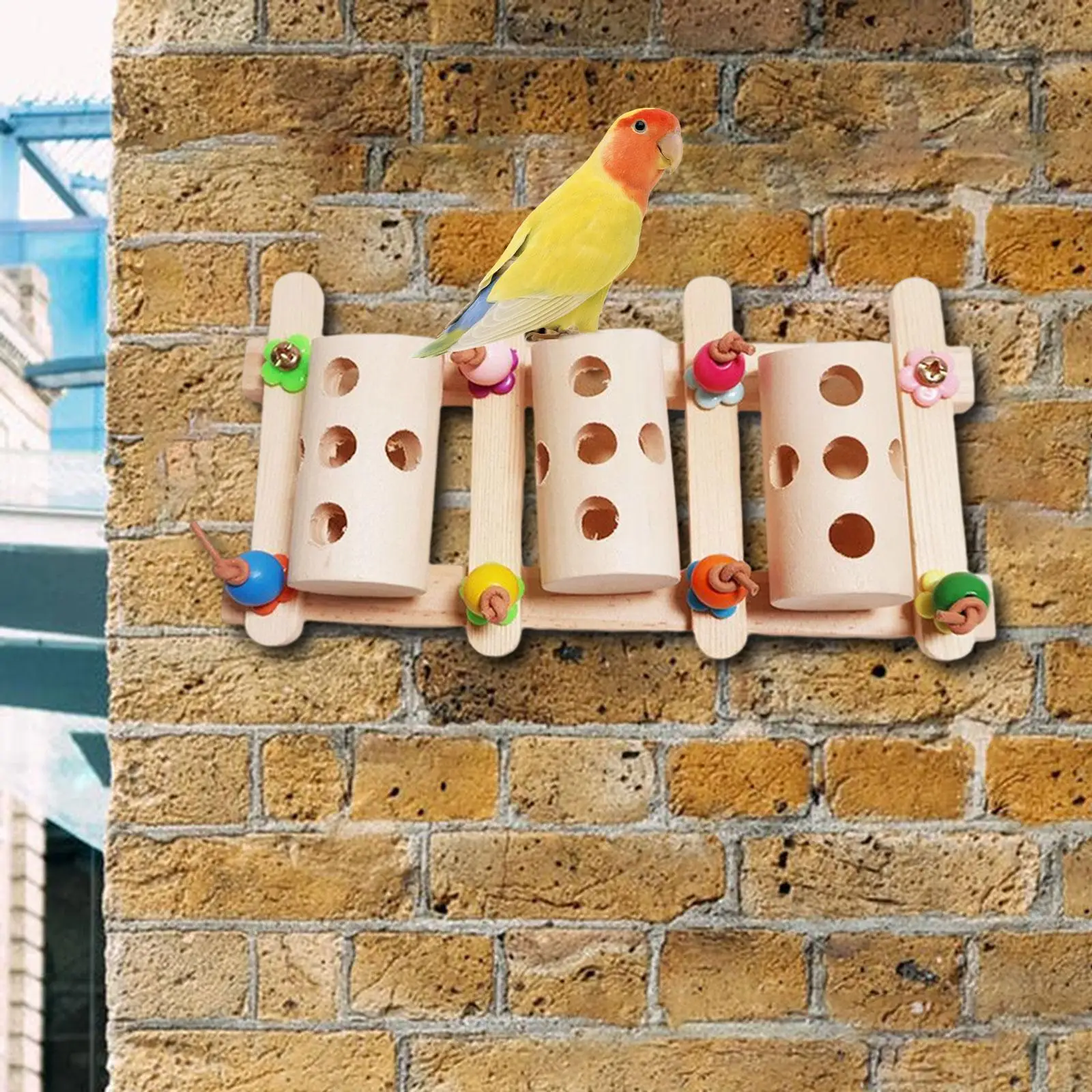 

Pet Nut Bucket Toy Easy to Install Feeding Box Durable for Garden Budgies