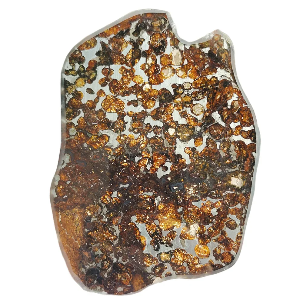 Kenya Olive Meteorite Sericho Оливковый метеорит Срез натурального метеорита Образец