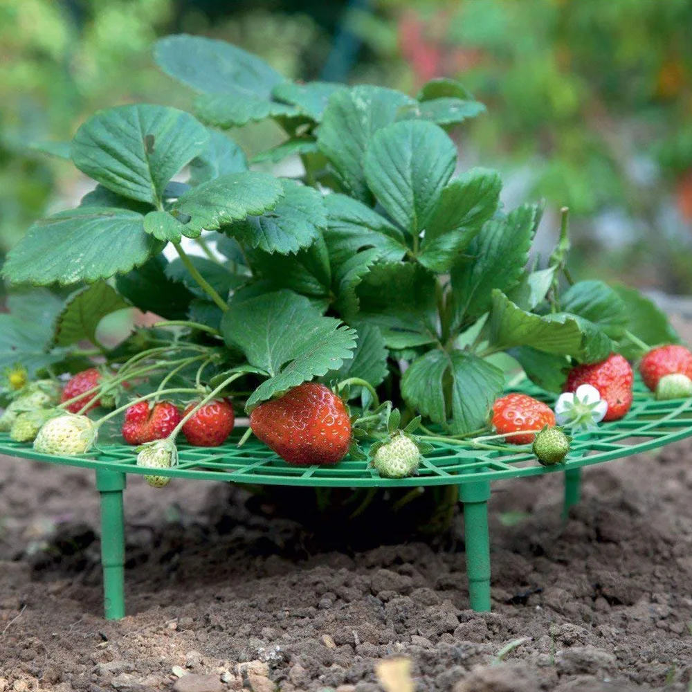 

5/10/20 PCS Strawberry Stand Frame Holder Balcony Planting Rack Fruit Support Plant Flower Climbing Vine Pillar Gardening Stand
