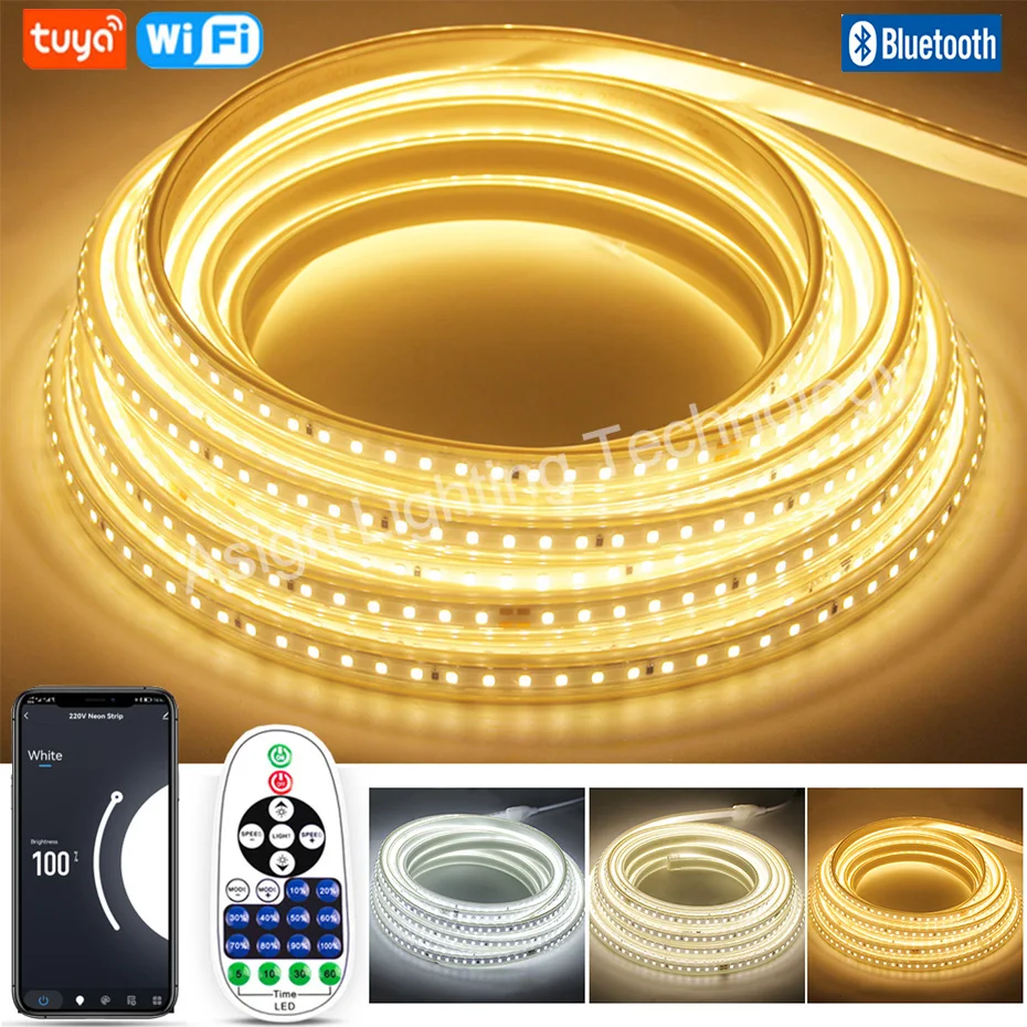 

Remote/Bluetooth/Tuya WiFi 220V LED Strip Light 2835 120LEDs/m LED Tape Rope Lamp IP67 Waterproof EU Plug LED Ribbon For Outdoor