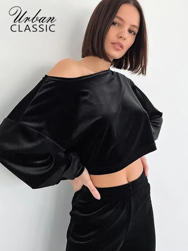 

Женский Бархатный спортивный костюм, велюровая спортивная одежда, свитшот, пуловер, топ, комплект из 2 предметов, осенне-зимние женские спор...