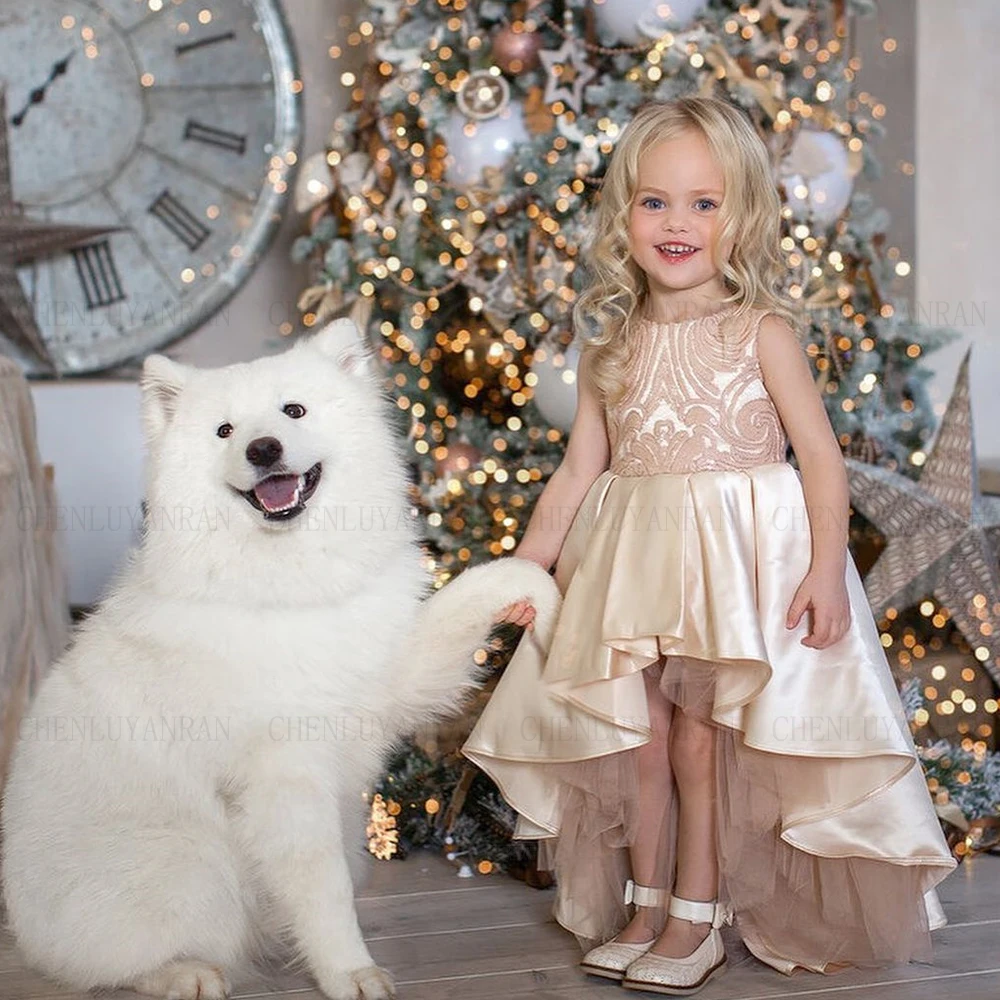 

Satin Princess Dress Hi-Lo Girl Party Dresses O-Neck Flower Girl Dresses 2023 Lace Puffy Baby Girl Dress A-Line First Communion