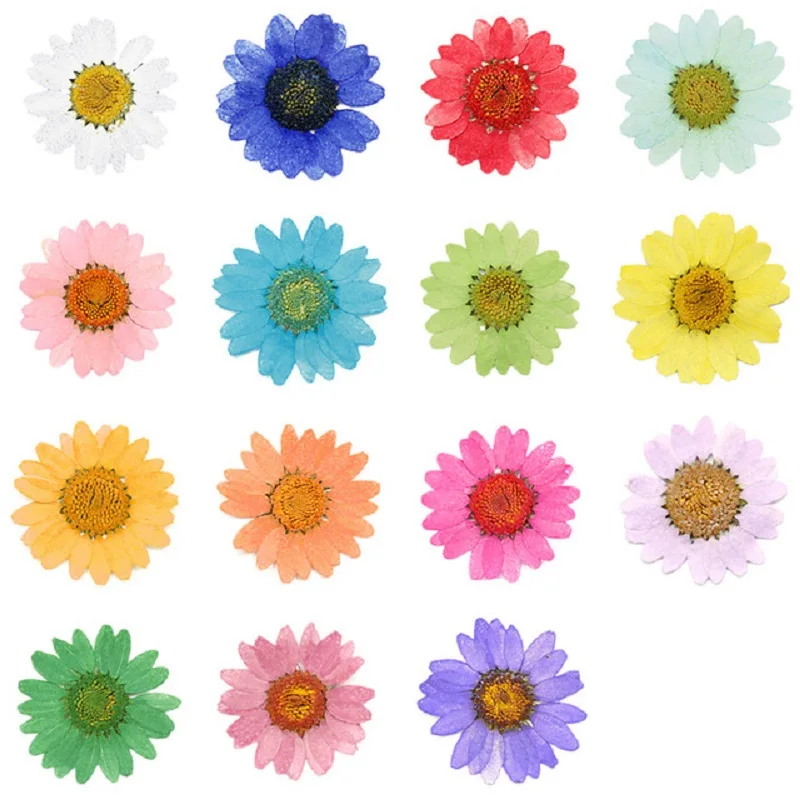 

360pcs Pressed Press Dried Daisy Dry Flower Plants For Epoxy Resin Pendant Necklace Jewelry Making Craft DIY Accessories