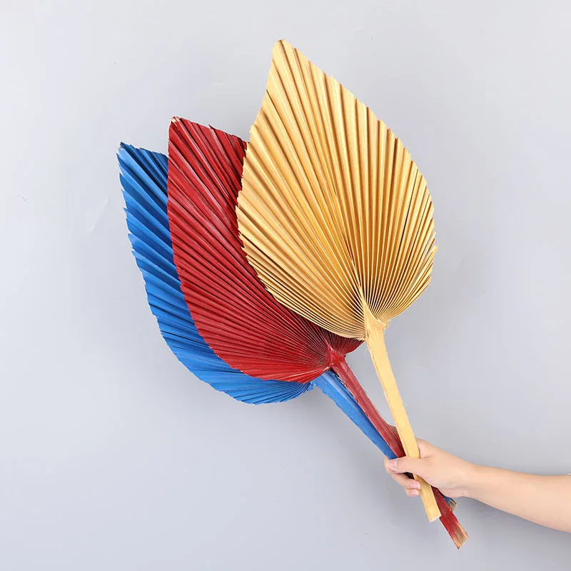 

Natural Pu Fan Leaf Dried Flower Palm Leaf Window Reception Party Art Wall Hanging Decor Wedding Arch Arrangement Dekoration