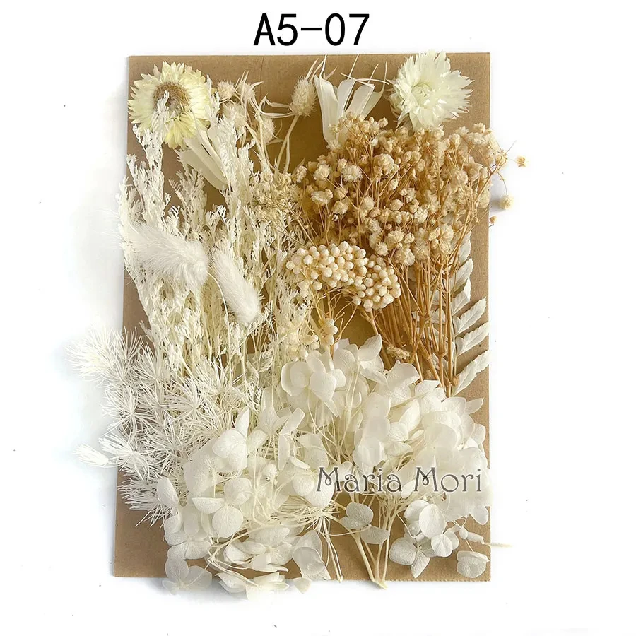 Сушеные цветы для декорирования