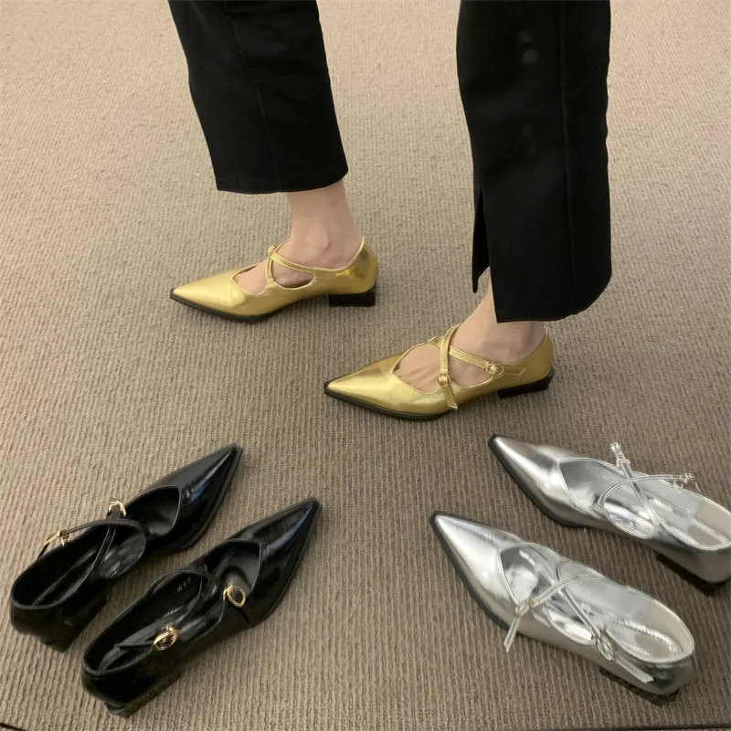Vintage Style Mary Jane Women's Shoes 2023 Autumn/Winter New French Thick Heel Shallow Mouth Pointed Toe Single Shoe