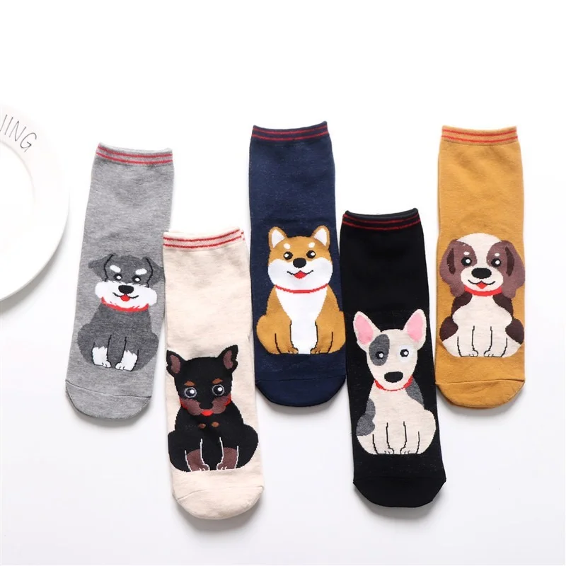 

5 Pairs New Spring Summer Breathable Soft Lady Casual Socks Hiphop Cute Funny Cartoon Dog Cotton Women Socks Dropshipping