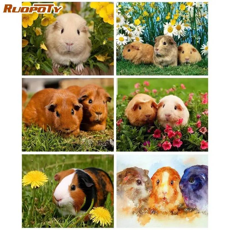 

RUOPOTY 40x50 Painting By Numbers For Adults Coloring By Numbers Animals Hamster Painting Numbers Living Room Decorating