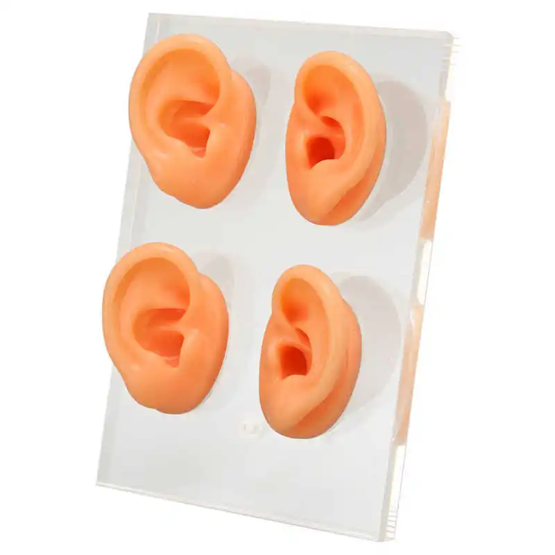 

Human Ear Model Waterproof Soft Silicone Ear Model Flexible with Acrylic Stand for ENT Doctors for Shop Window Display for