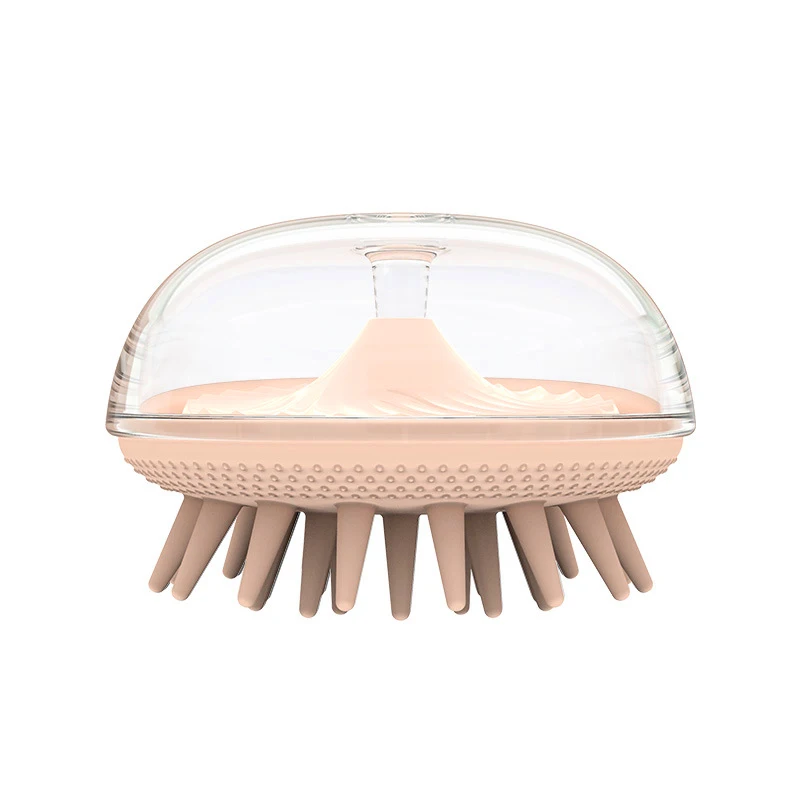 

Brosse Cheveux Femme Cepillo Pelo Hair Scalp Treatments Scalp Massager Peigne Cheveux Hair Accessories Escova Secadora Wet Brush