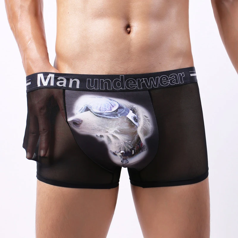 5 Pcs/Lot Men's Ice Silk Mesh Yarn Transparent Boxer Briefs Sexy Underpants Mesh Hollow Breathable Four Corners Men's Underwear