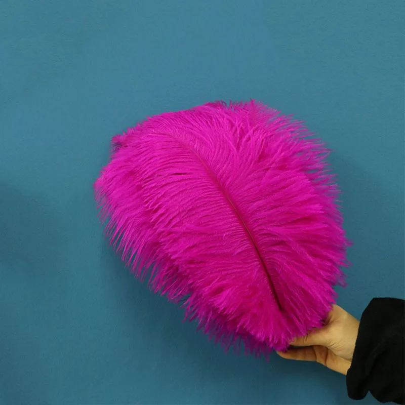 

100Pcs Dyed Hot Pink Ostrich Feathers Wedding Home Decoration Plumes Table Centerpiece Crafts Decorations 25-30CM 10-12 Inch
