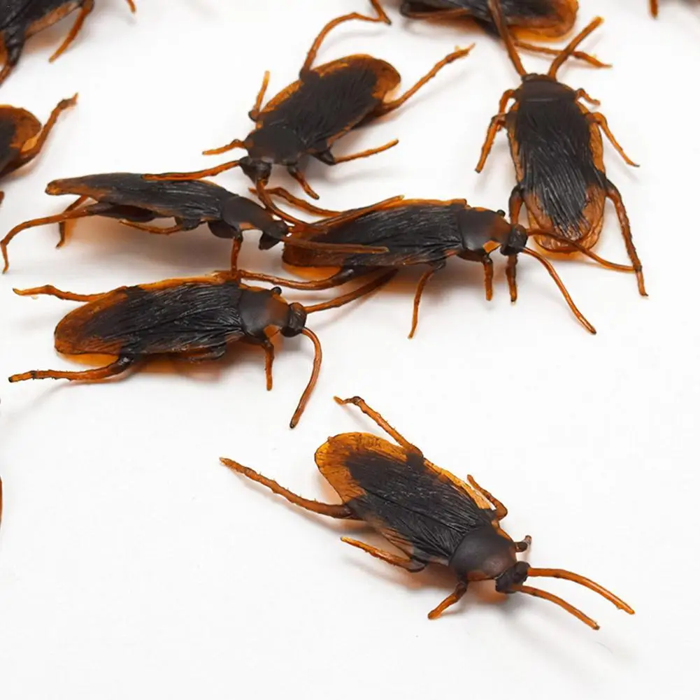 

10pcs Realistic Fake Cockroach Centipede Scorpion Toy Simulation Insect Model Adult Kids Funny Prank Toys Tricky Friends Props