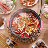 electric food steamer cooker rice dim sum fish hot pot food warmer multi cooking steam boilers cookware dampf topf cooking pot